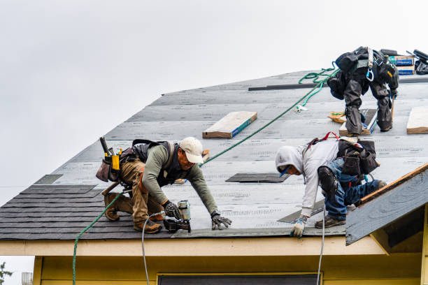 Professional Roofing technician working in Amana, IA